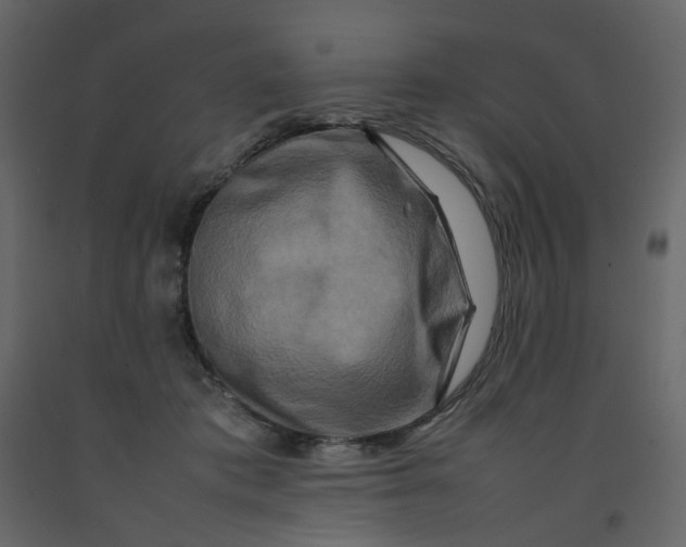 X0000092230413200710051222