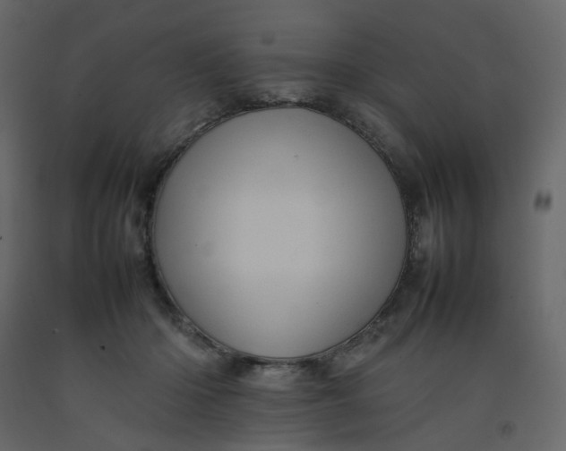 X0000092230414200710051222