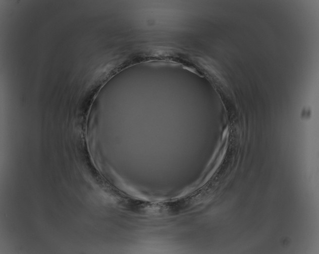 X0000092230415200710051222