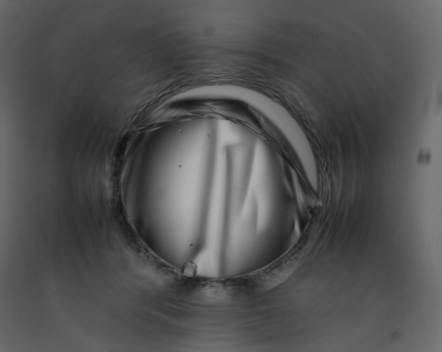 X0000092230416200710051222