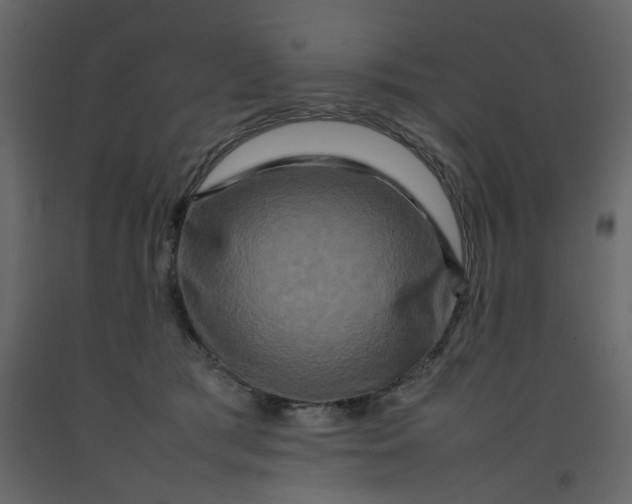 X0000092230417200710051222