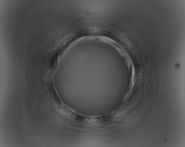 X0000092230419200710051222