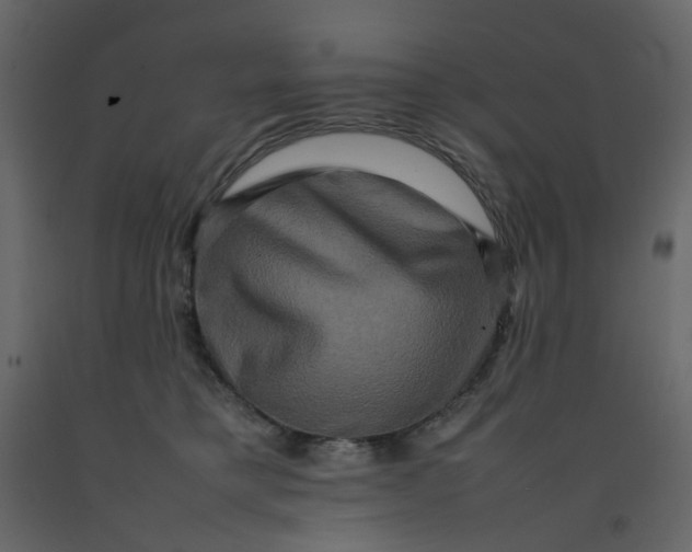 X0000092230421200710051222