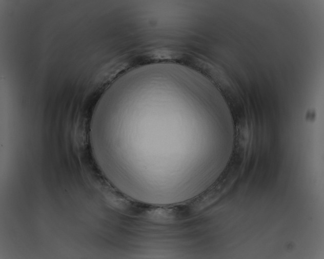 X0000092230422200710051222