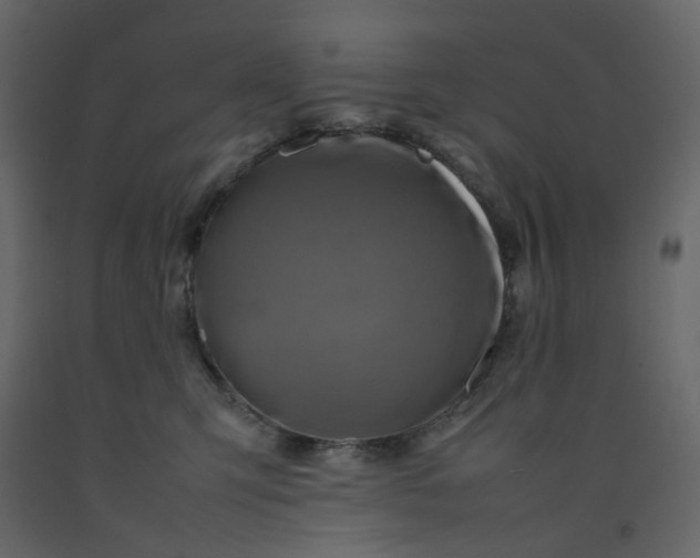 X0000092230423200710051222