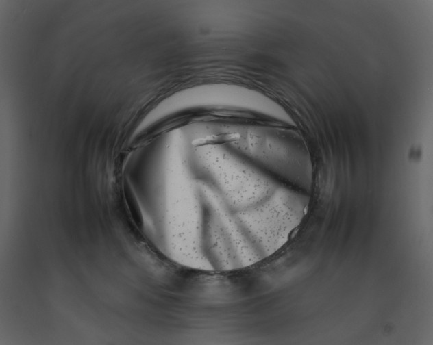 X0000092230424200710051222