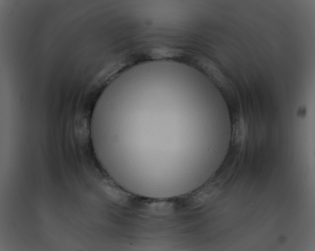 X0000092230426200710051222