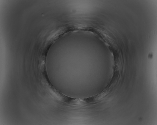 X0000092230427200710051222