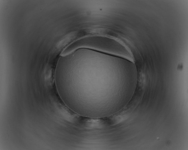 X0000092230428200710051222