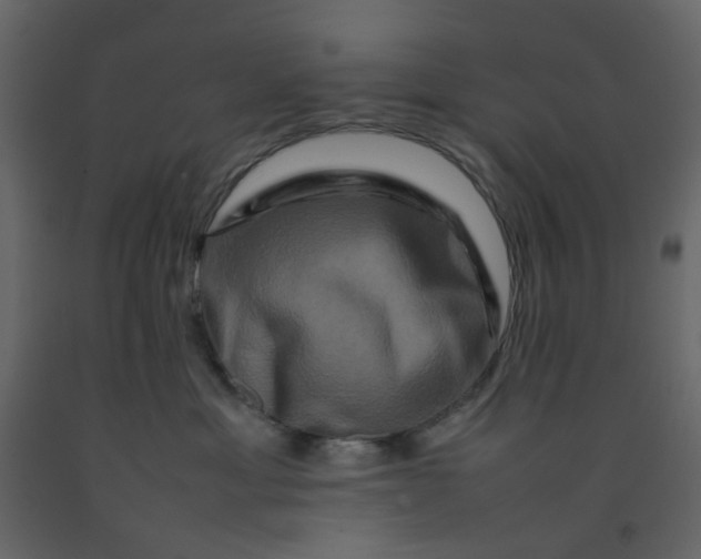 X0000092230429200710051222