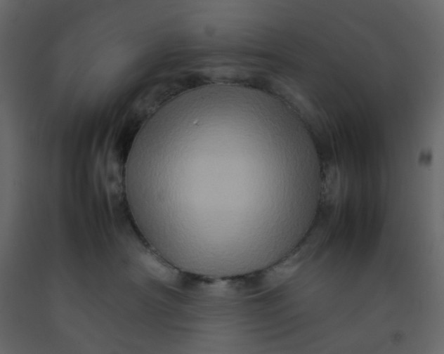 X0000092230430200710051222