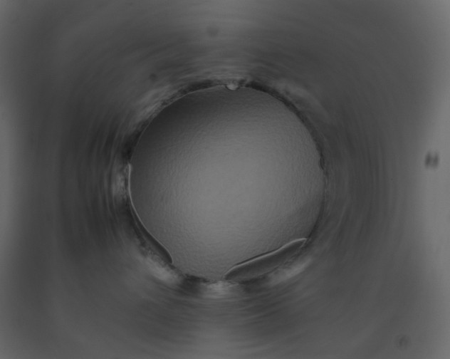 X0000092230432200710051222