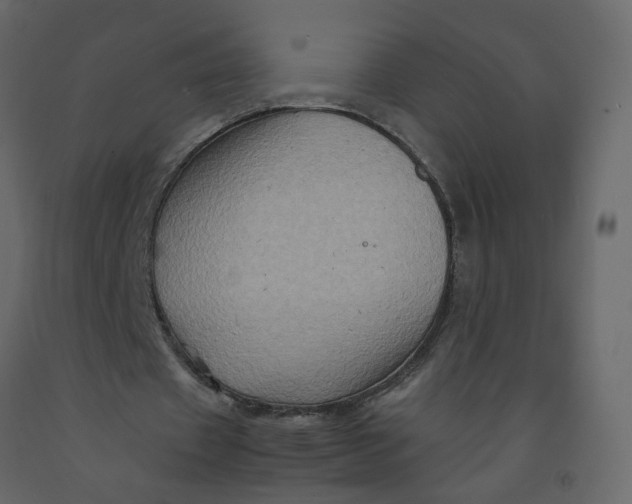 X0000092230433200710051222