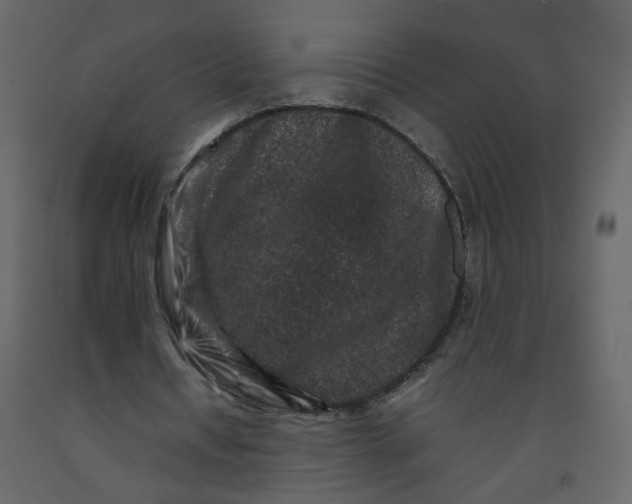 X0000092230434200710051222