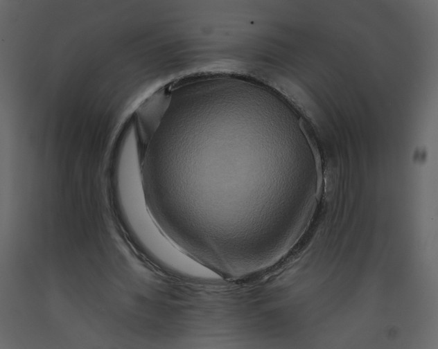 X0000092230436200710051222