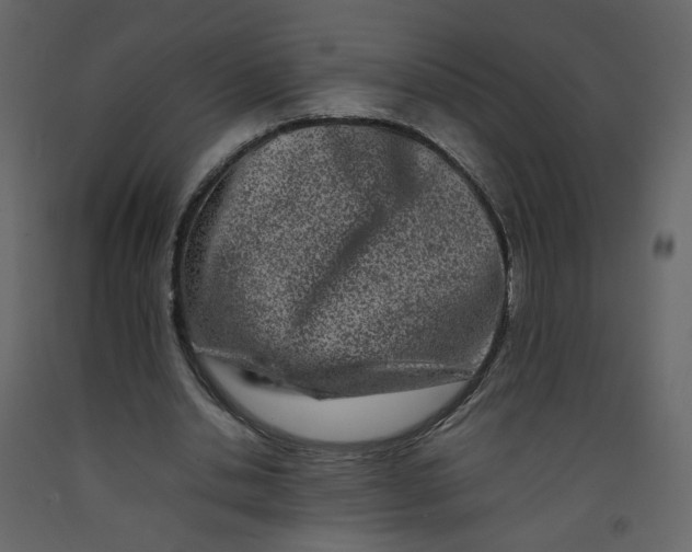 X0000092230438200710051222