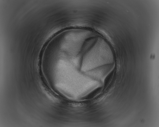 X0000092230439200710051222