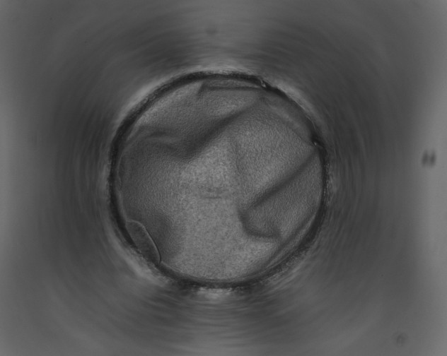 X0000092230440200710051222