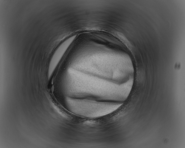 X0000092230441200710051222