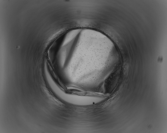 X0000092230442200710051222