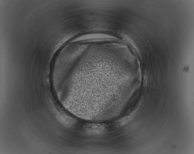 X0000092230443200710051222