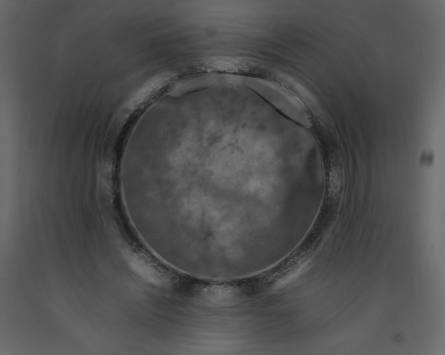 X0000092230444200710051222