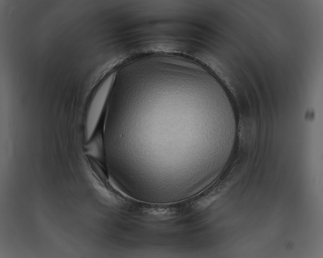 X0000092230445200710051222