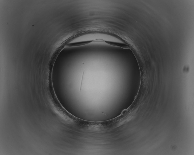 X0000092230446200710051222