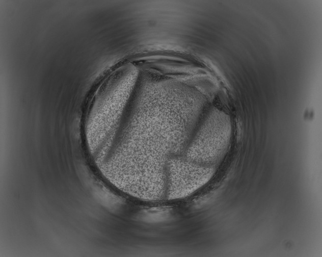 X0000092230447200710051222