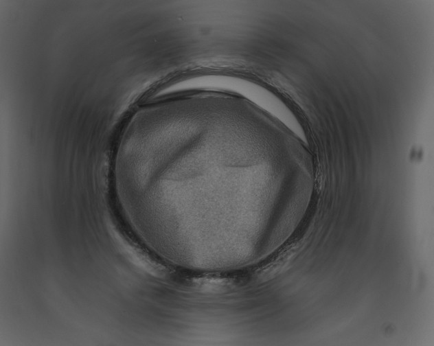 X0000092230448200710051222