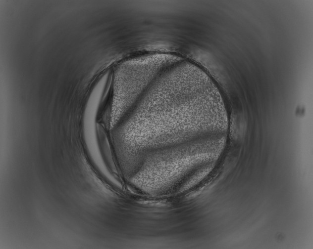 X0000092230449200710051222