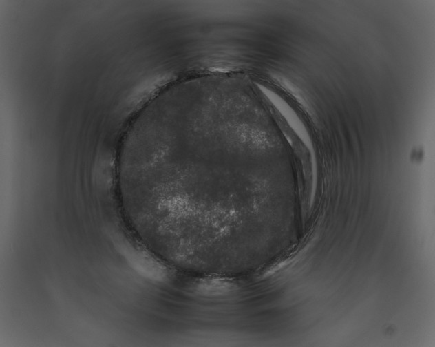 X0000092230451200710051222