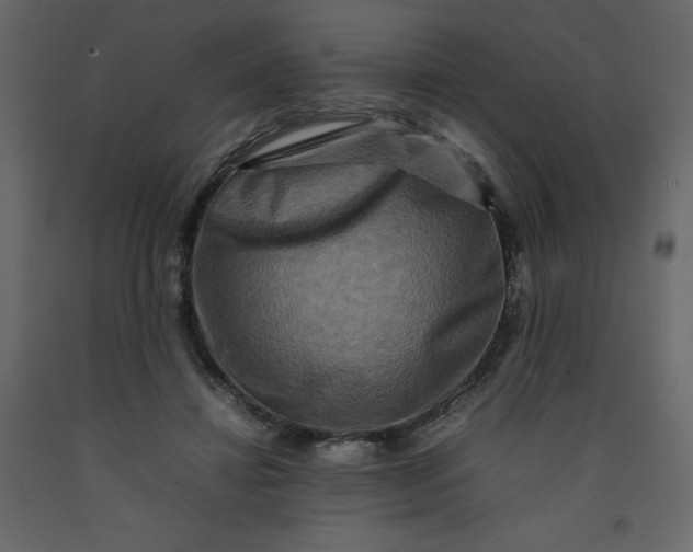 X0000092230452200710051222