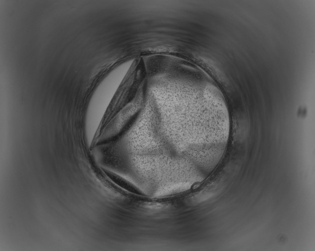 X0000092230453200710051222