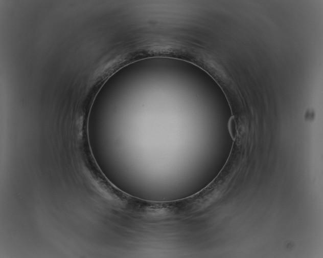 X0000092230454200710051222