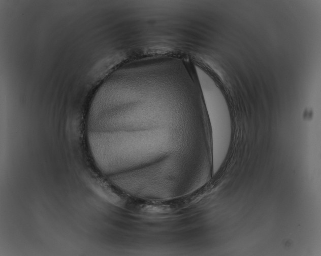 X0000092230455200710051222