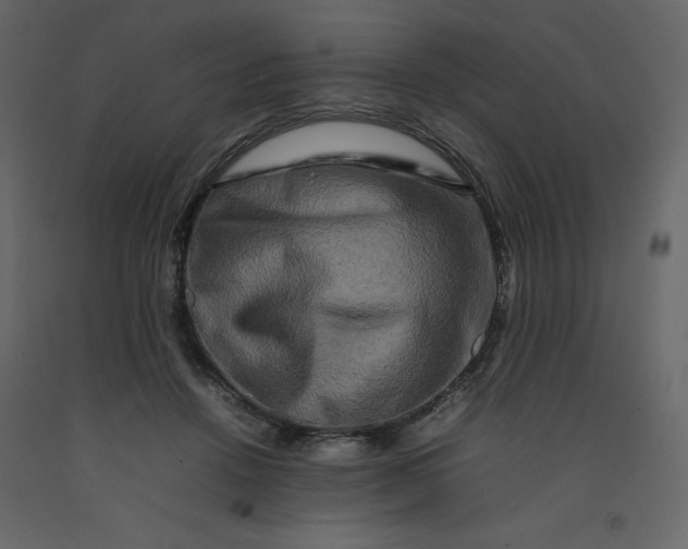 X0000092230456200710051222