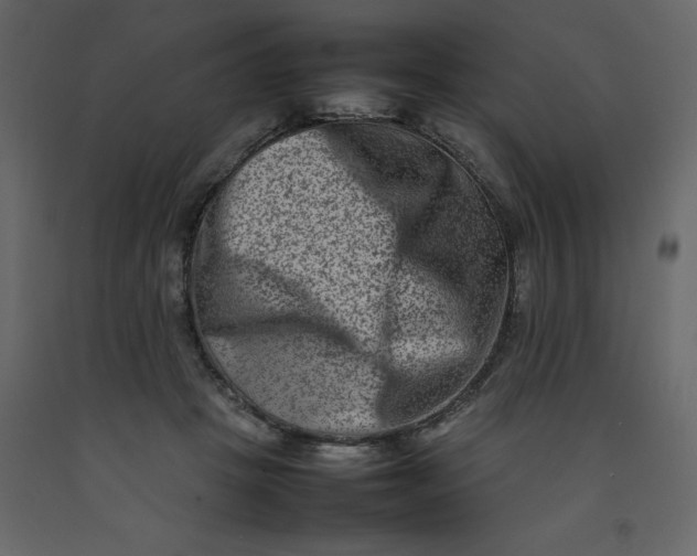 X0000092230457200710051222