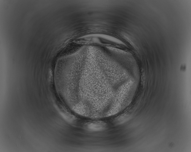 X0000092230459200710051222