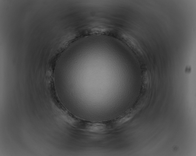 X0000092230463200710051222