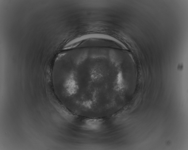 X0000092230465200710051222