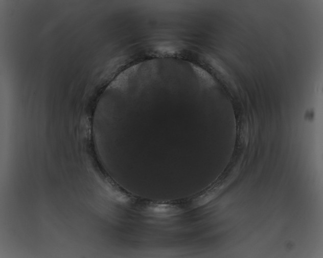 X0000092230467200710051222