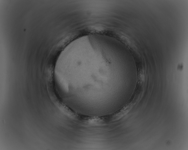 X0000092230468200710051222