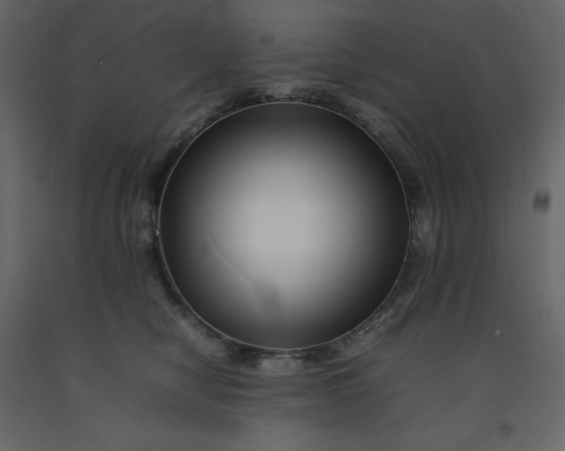 X0000092230470200710051222