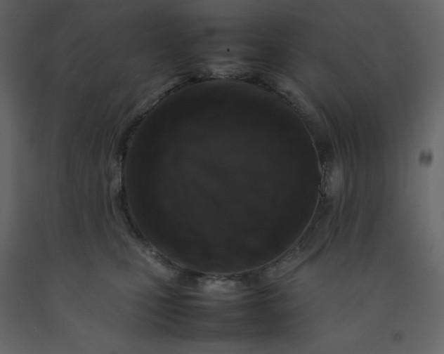 X0000092230471200710051222