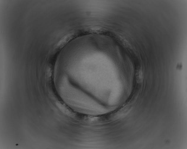 X0000092230472200710051222