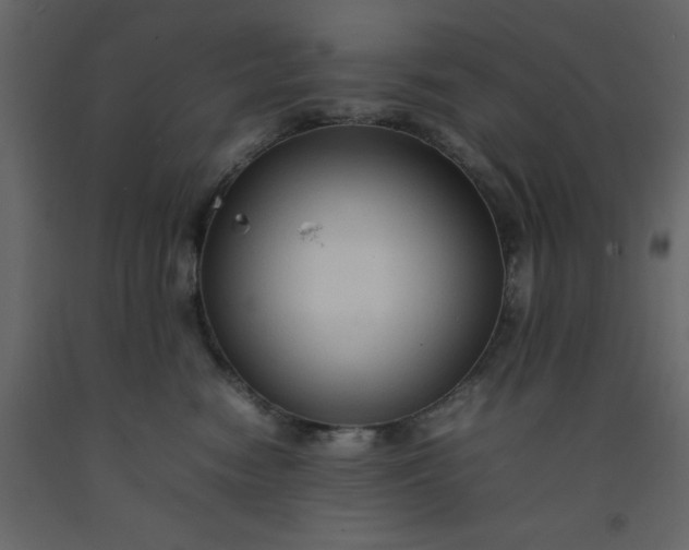 X0000092230474200710051222