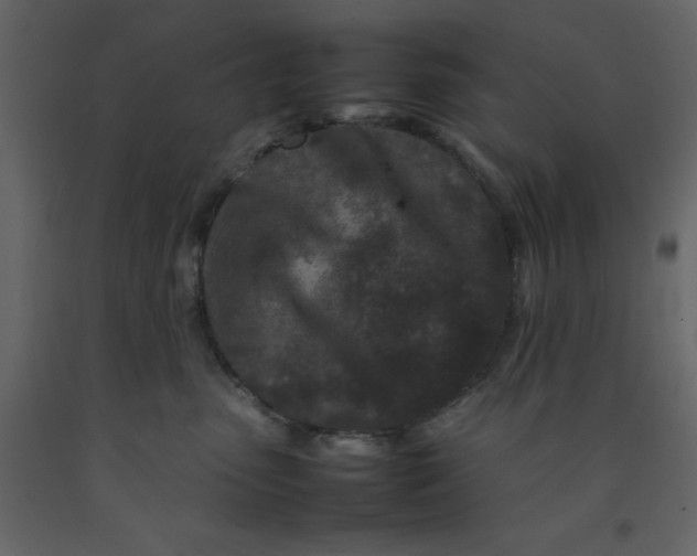 X0000092230475200710051222