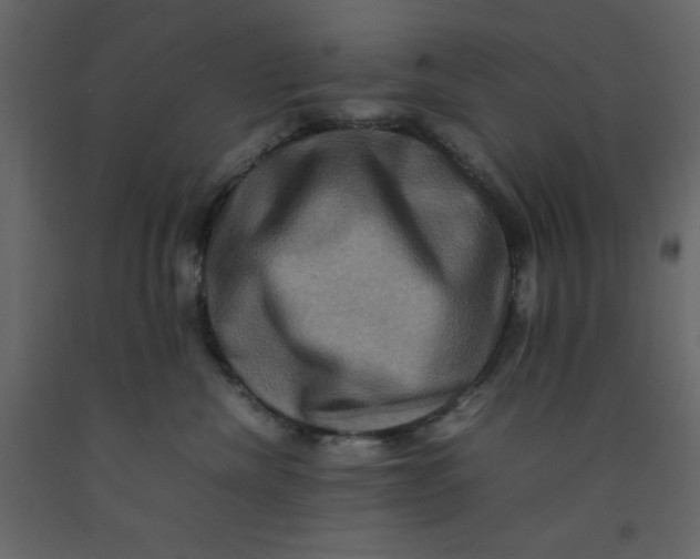 X0000092230476200710051222