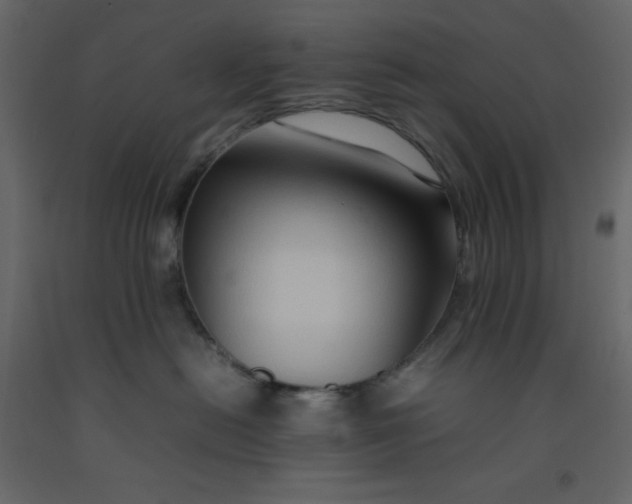 X0000092230478200710051222